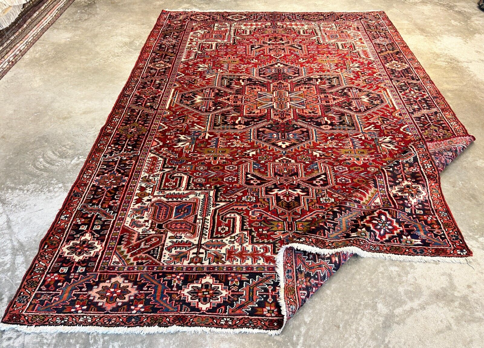 7'10"x11'4" Hand-Knotted 100% Wool Pile Herize Rug