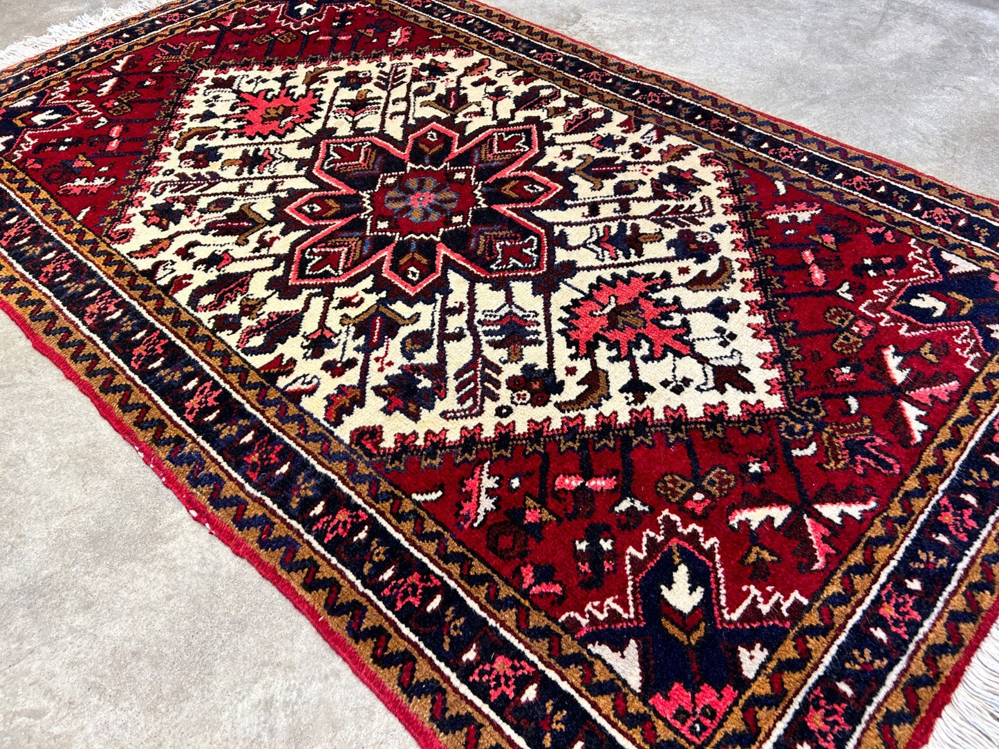 3'1"x5' Hand-Knotted 100% Wool Pile Herize Rug