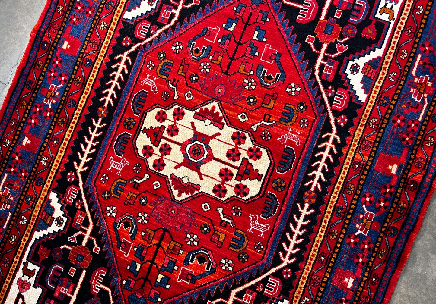 5'10" x 10'11" Hand-Knotted 100% Wool Pile Nahavande Area Rug