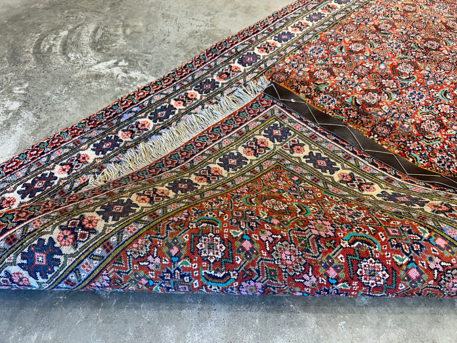 2'11"x11'6" Hand-Knotted 100% Wool Pile Sarabi Runner