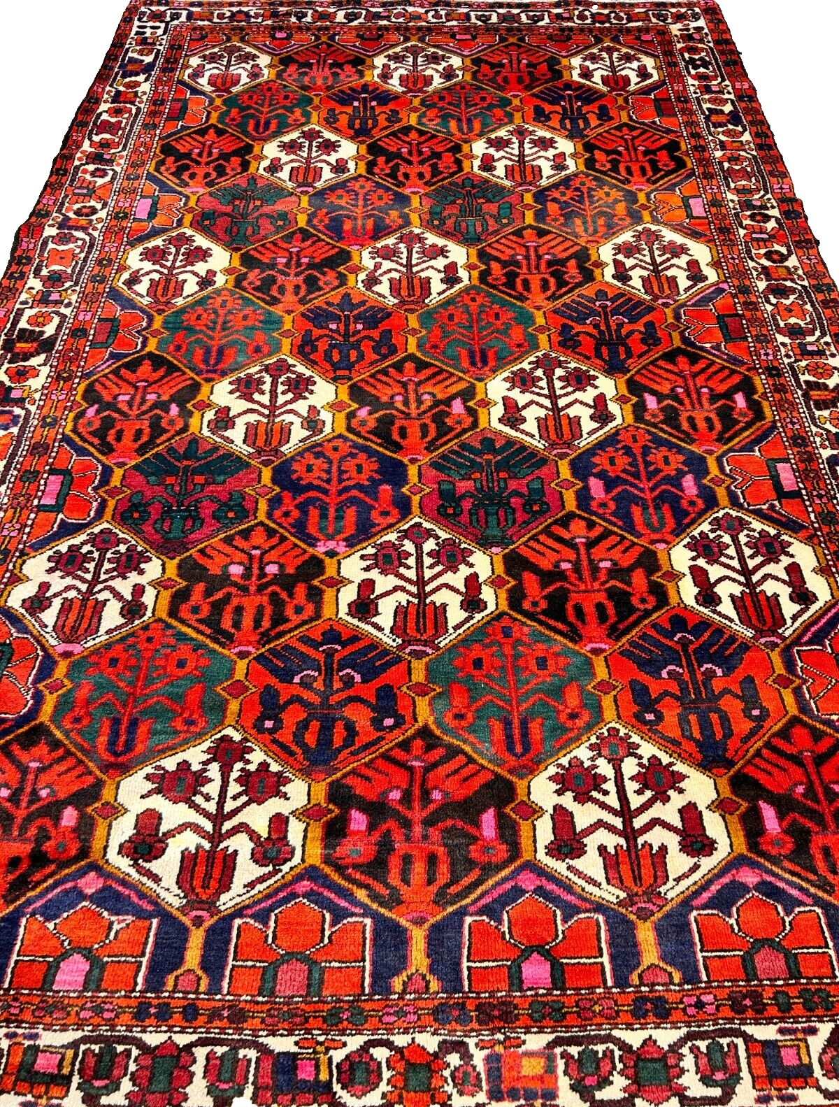 6'9"x9'9" Hand-Knotted 100% Lamb Wool Bakhtiarie Carpet - Area Rug