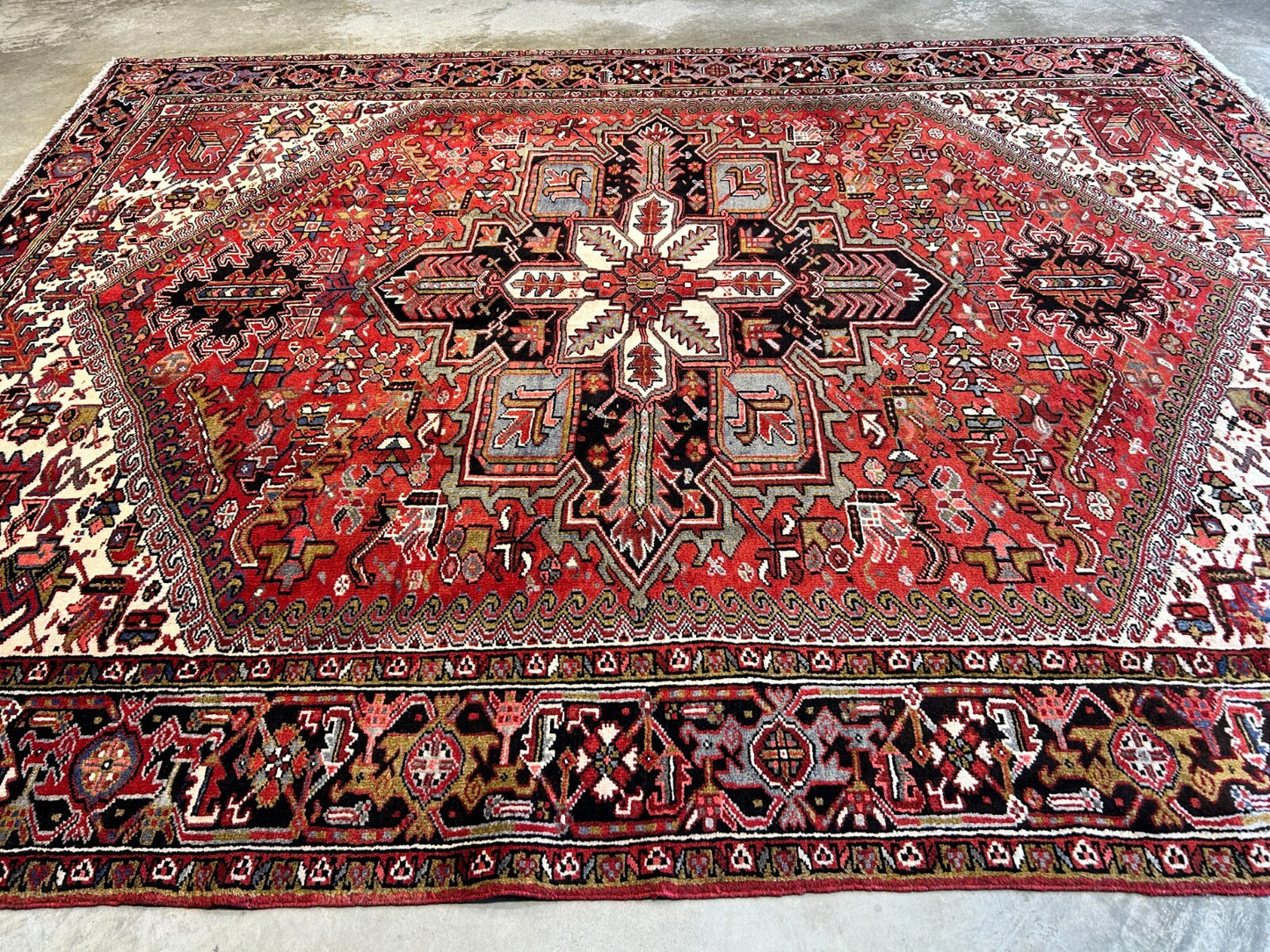 9'x11'5" Hand-Knotted 100% Wool Pile Herize Rug