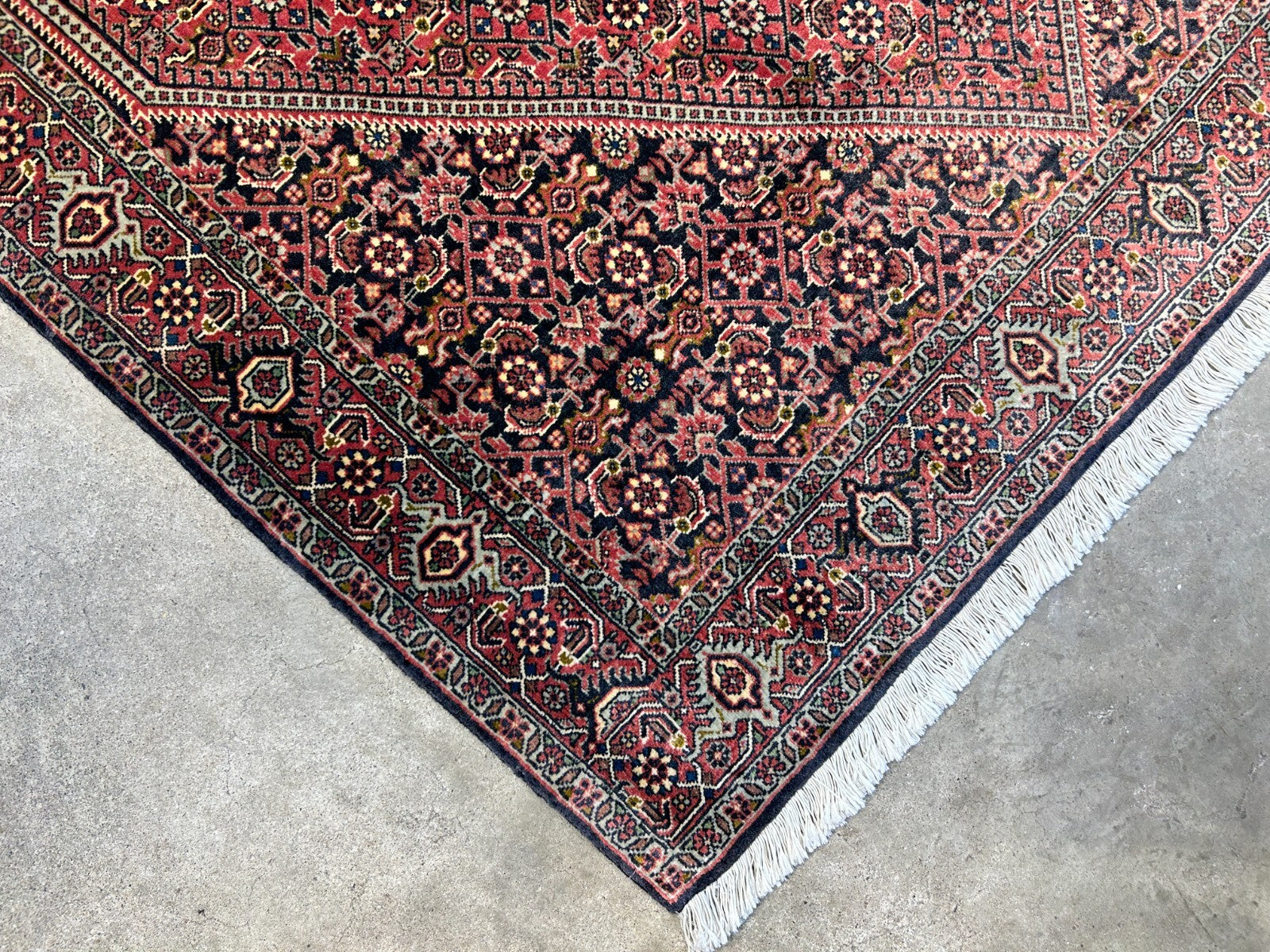 3'8"x5'10" Hand-Knotted 100% Wool Bidjare Carpet - Area Rug