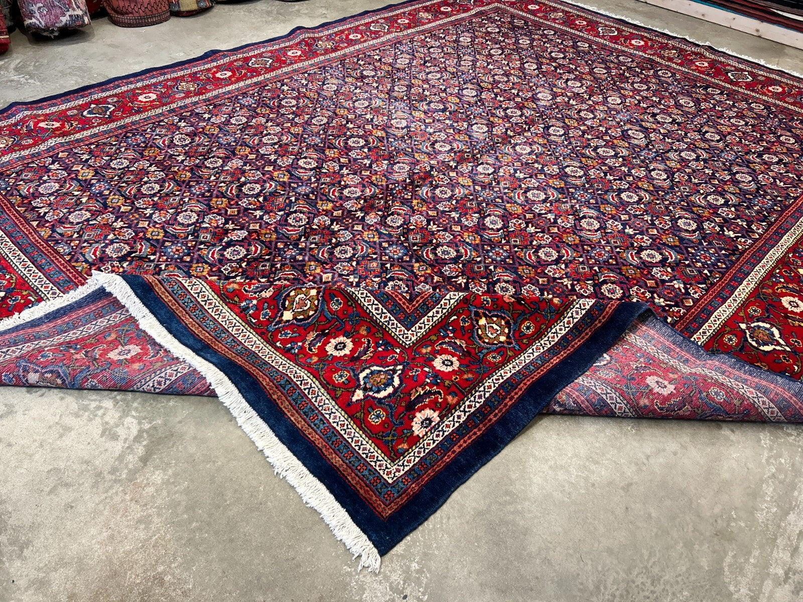 10'5"x14' Hand-Knotted 100% Wool Pile All-over Herati Rug
