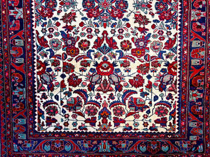 5'2" x 10'11'' Hand-Knotted 100% Lamb Wool Carpet - Hamadane Area Rug