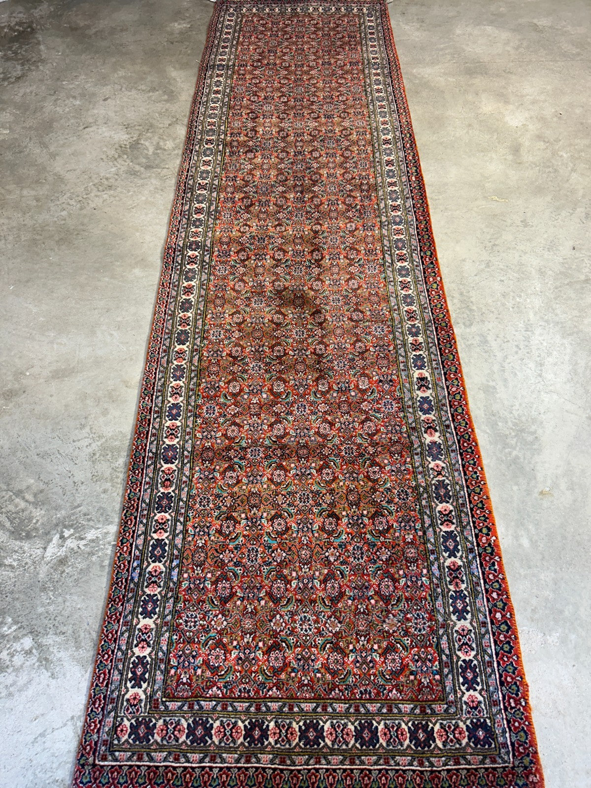 2'11"x11'6" Hand-Knotted 100% Wool Pile Sarabi Runner