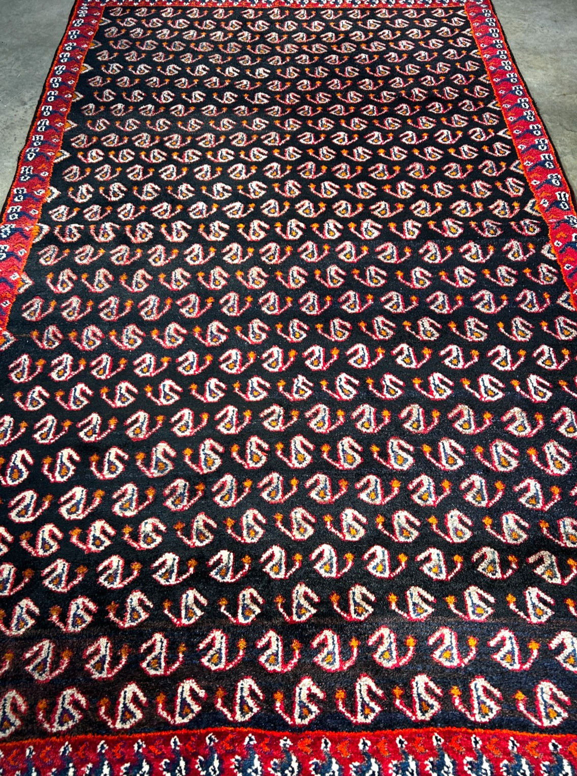 5' x 8'1" Hand-Knotted 100% Wool Pile Mosole Hamadane Area Rug - Carpet