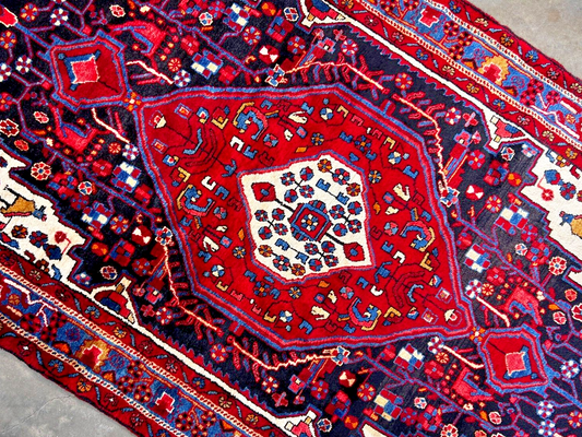 5'4" x 9'5" Hand-Knotted 100% Wool Carpet - Hamadane Area Rug