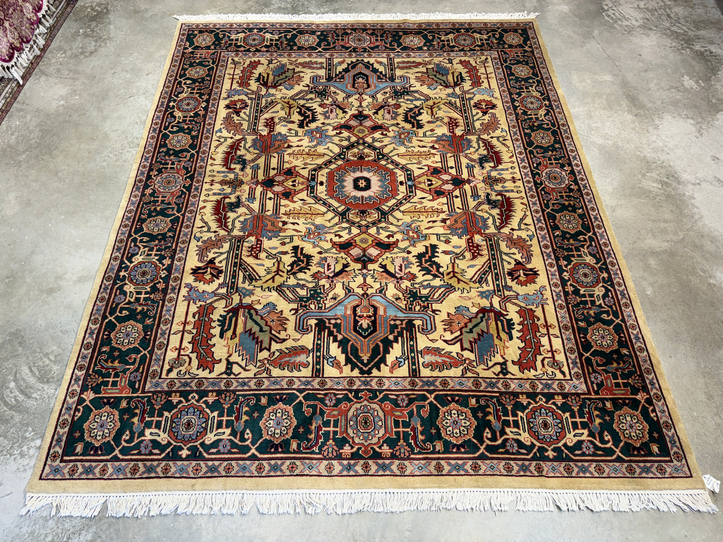8’x9’11” Hand-Knotted Wool IndoHeriz Area Rug