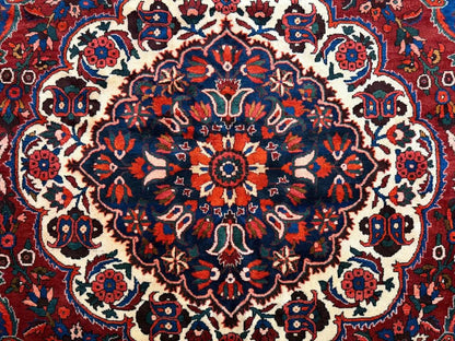 8’8”x12’2”Hand-Knotted Wool Bakhtiari Rug
