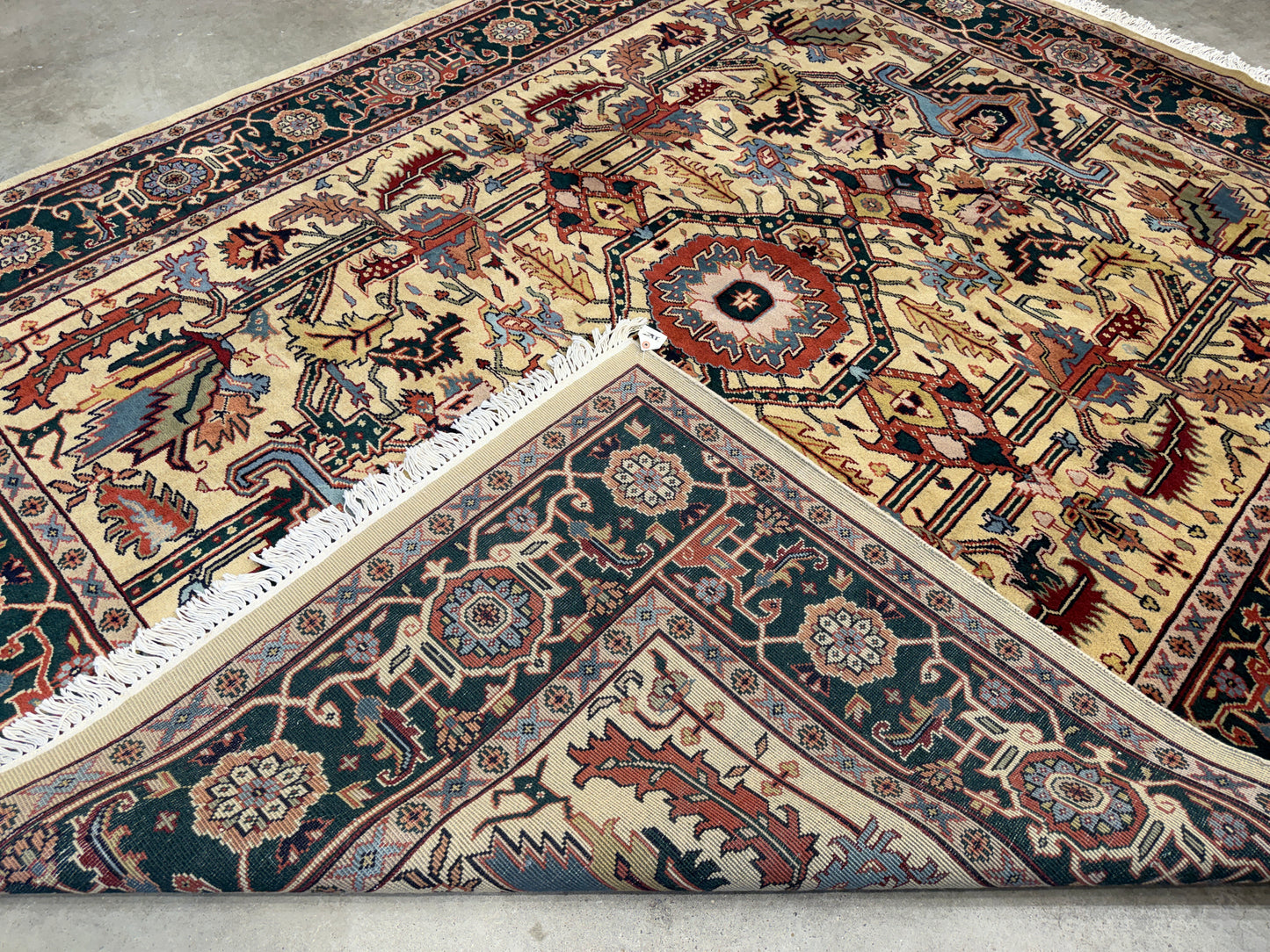 8’x9’11” Hand-Knotted Wool IndoHeriz Area Rug