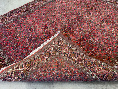 Hand-Knotted Persian Bidjar Rug - 6’7”x8’1”