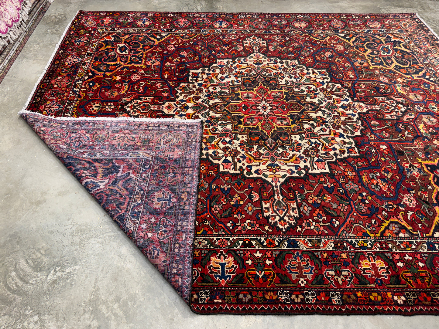 9’10”x12’4” Hand-Knotted Persian Bakhtiari Area Rug