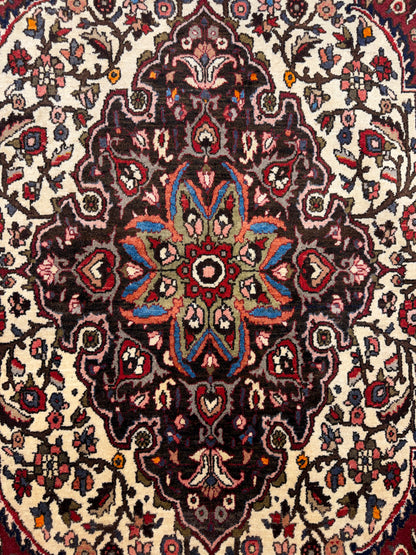 Hand-Knotted Persian Bakhtiari Rug - 7’x10’3”
