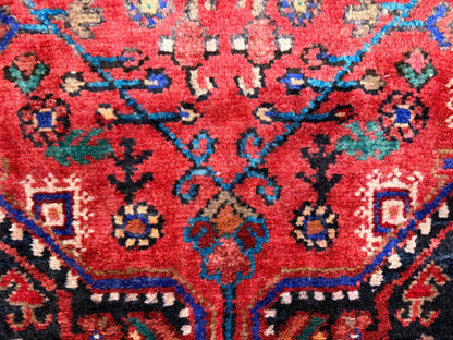 Hand-Knotted Persian Tuyserkan Rug -  5’x9’5”