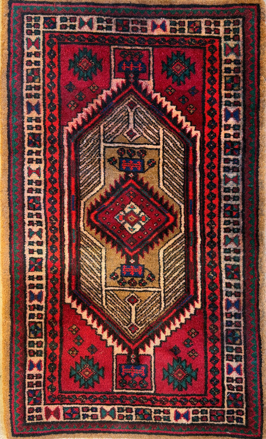 Hand-Knotted Bidjar Rug - 2’x3’5”