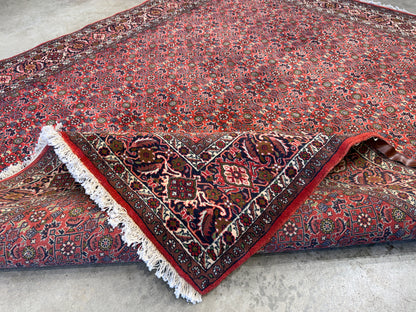 Hand-Knotted Persian Bidjar Rug - 6’7”x8’1”