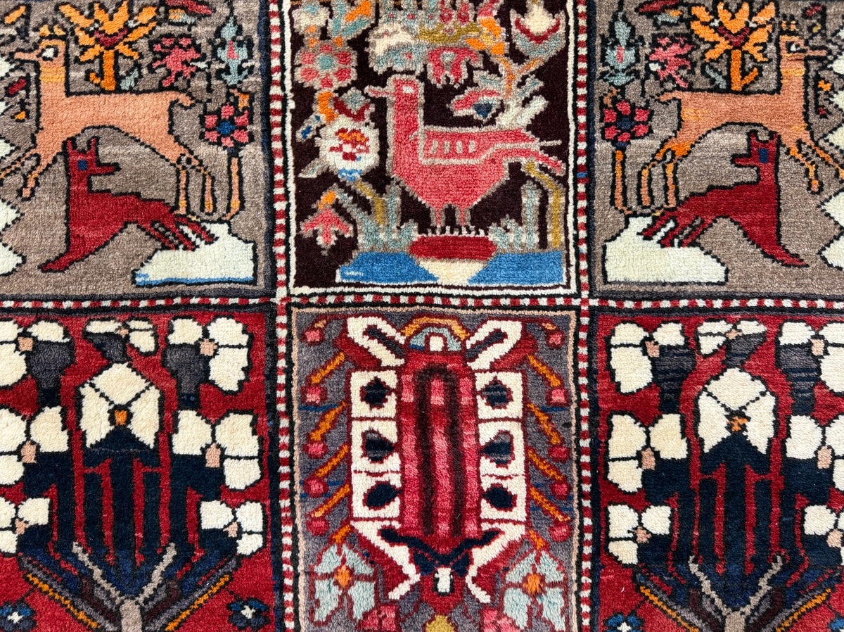 Hand-Knotted Persian Bakhtiari Rug - 5’5”x10’8”