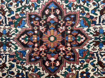 9’10”x13’10” Hand-Knotted Persian Bakhtiari Area Rug