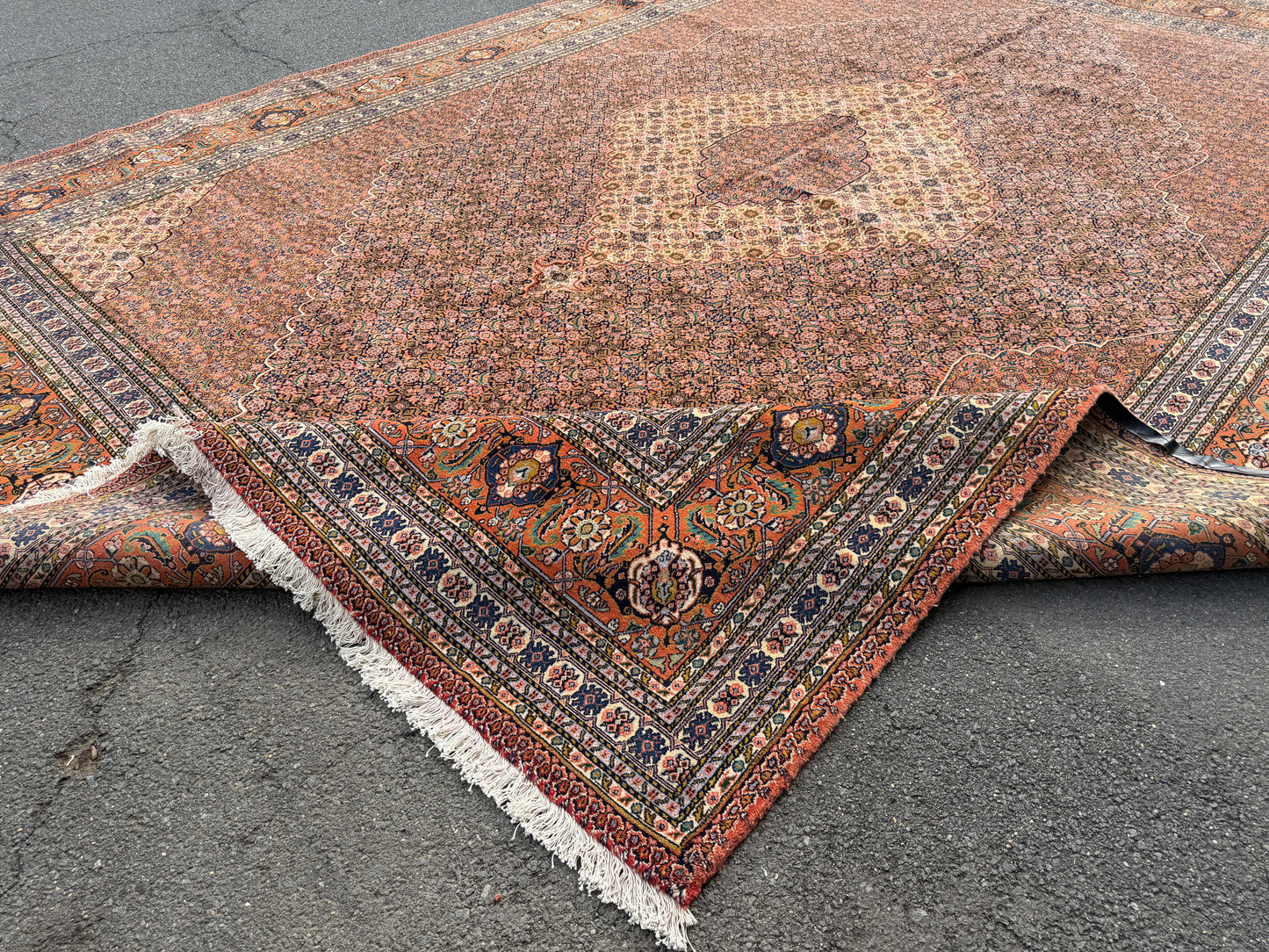 11’9”x15’9” Hand-Knotted Fine Wool Persian Sarab Area Rug
