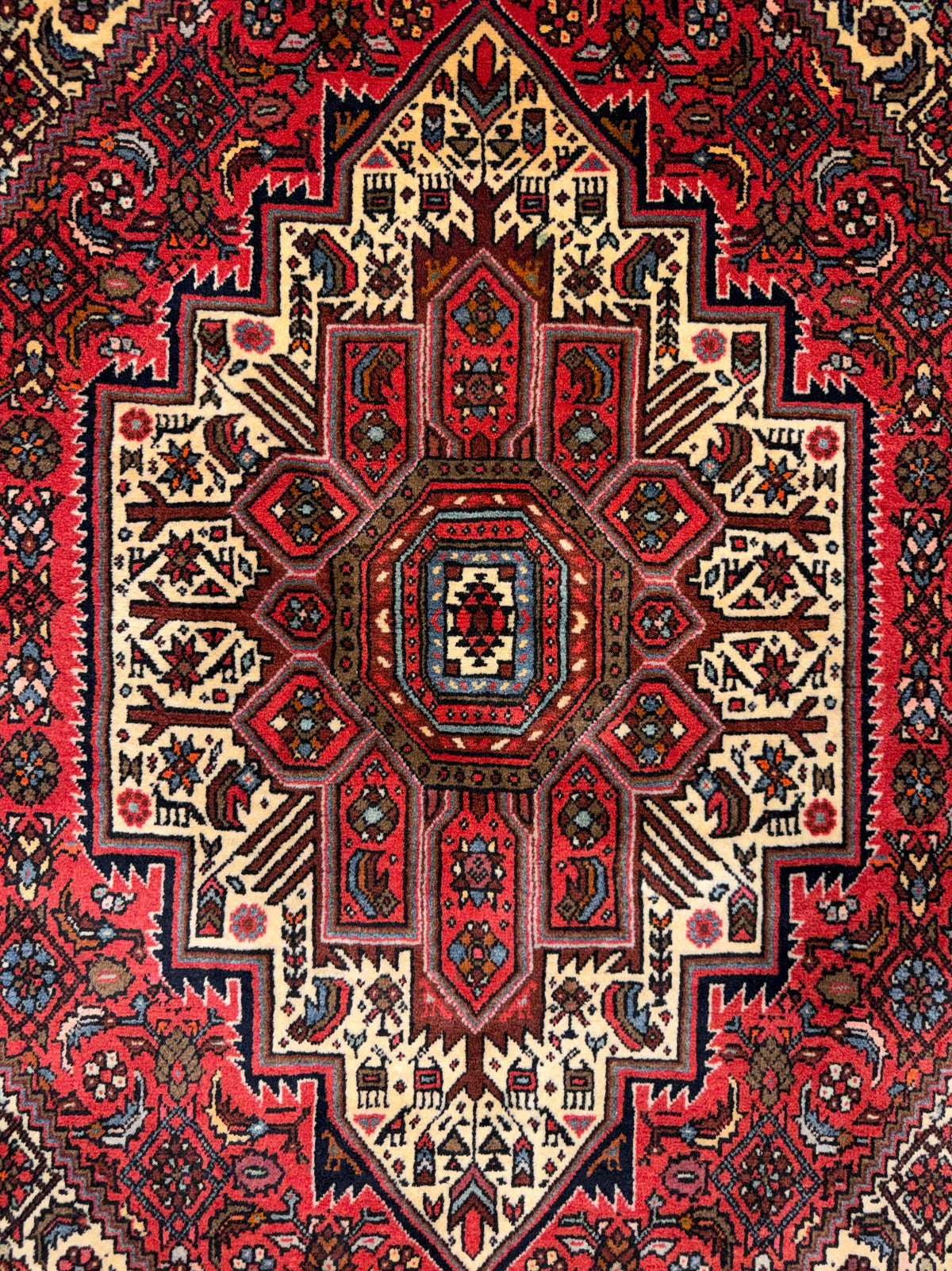 Hand-Knotted Persian Bidjar Gholtogh Rug - 4'1"x6'3"