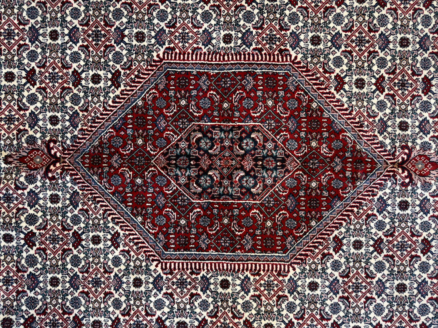 9’10”x14’ Hand-Knotted IndoBidjar Area Rug