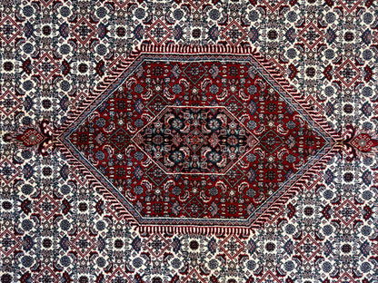 9’10”x14’ Hand-Knotted IndoBidjar Area Rug