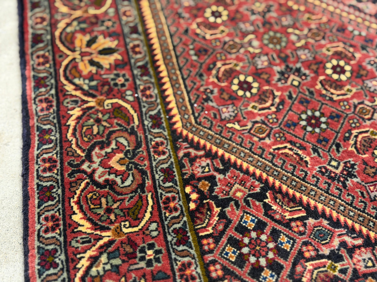 Hand-Knotted Persian Bidjar Rug - 3'7"x5'9"