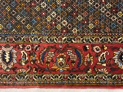 Hand-Knotted Persian Bakhtiari Rug - 6'6"x10'