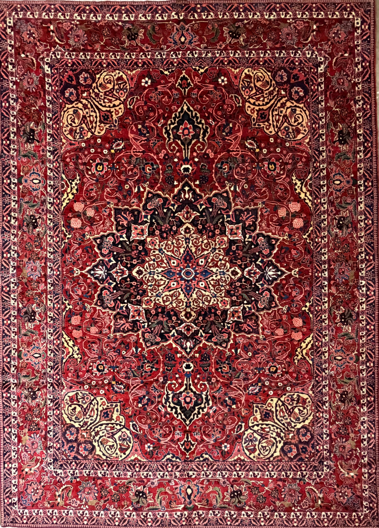 Antique Hand-Knotted Persian Bakhtiari Rug - 10’6”x14’7”