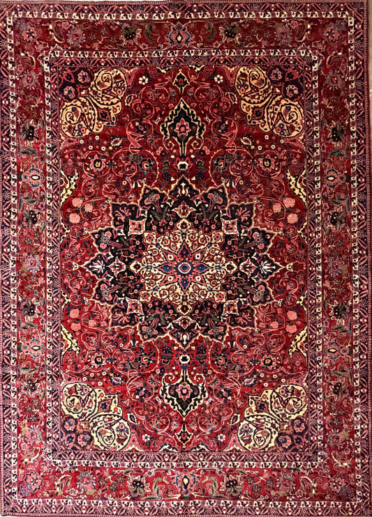 Antique Hand-Knotted Persian Bakhtiari Rug - 10’6”x14’7”