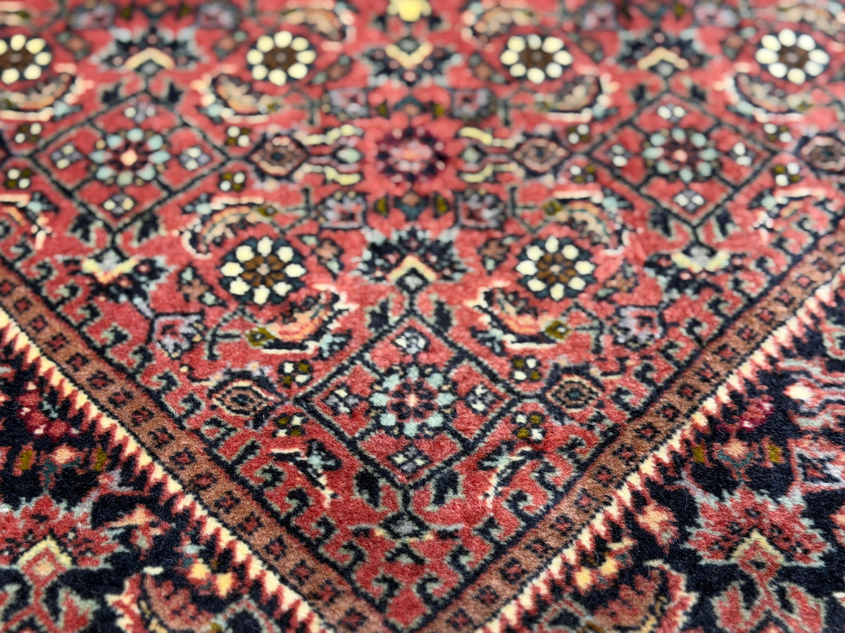 Hand-Knotted Persian Bidjar Rug - 3'7"x6'1"