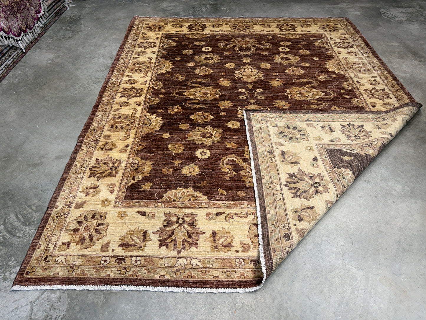 8’x10’ Hand-Knotted Wool Agra Area Rug