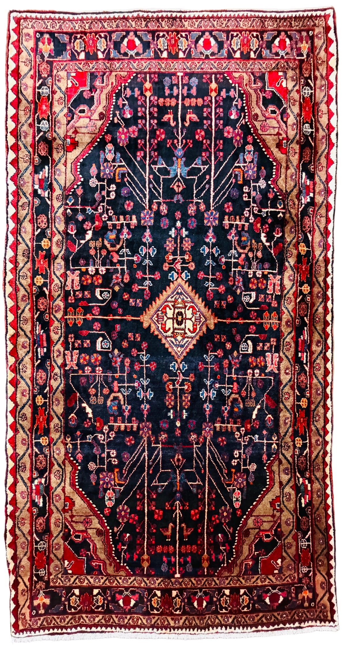 Hand-Knotted Persian Nahavand Rug - 5'5"x10'4"