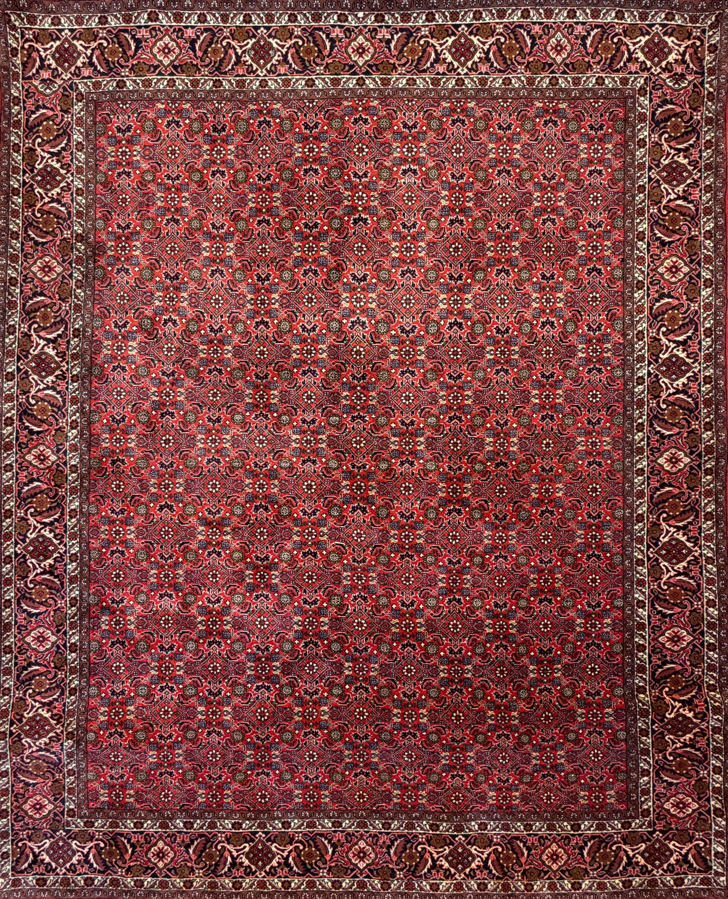 Hand-Knotted Persian Bidjar Rug - 6’7”x8’1”