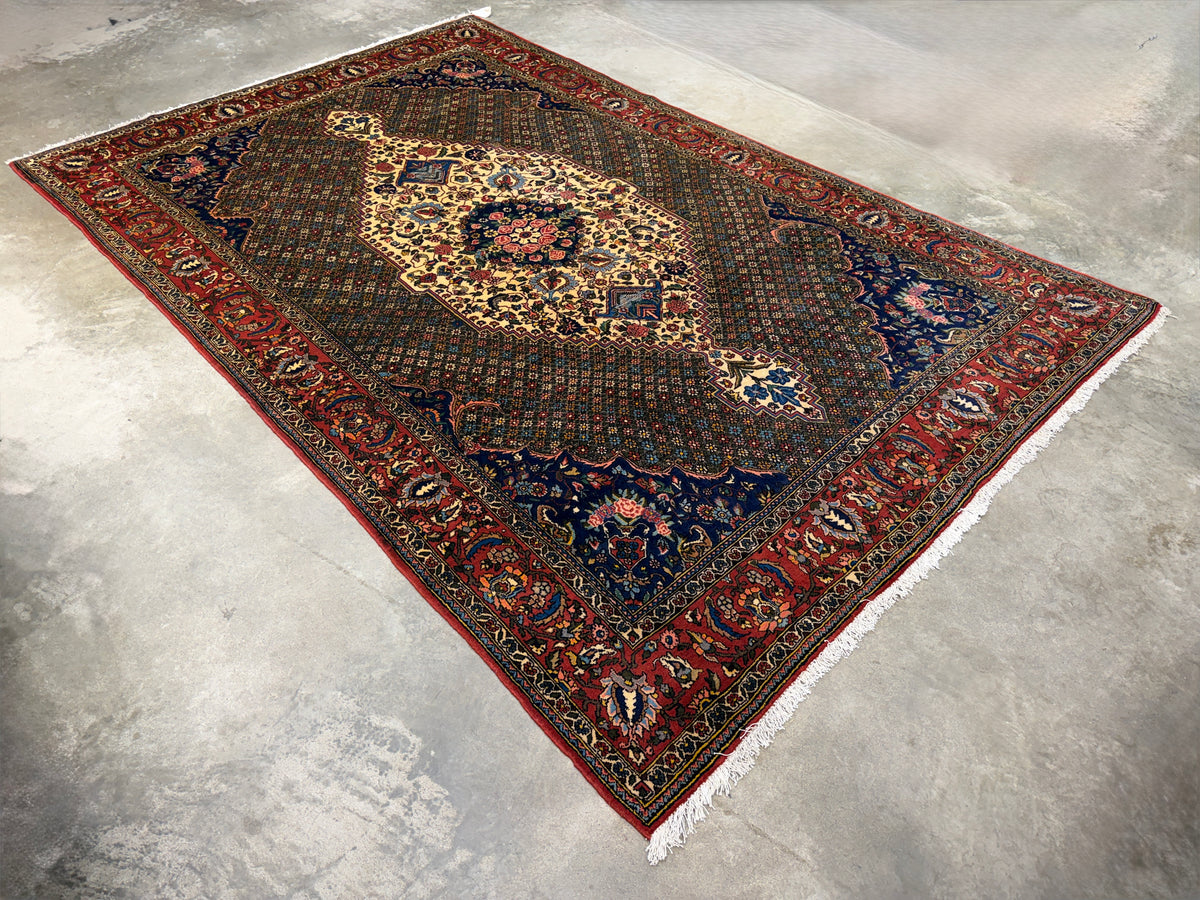 Hand-Knotted Persian Bakhtiari Rug - 6'6"x10'