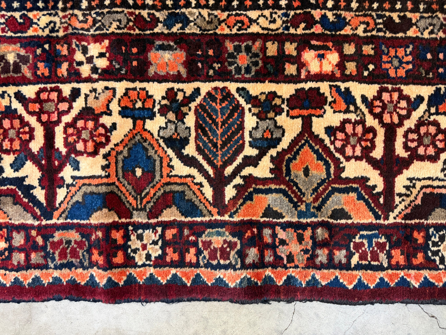 Hand-Knotted Persian Bakhtiari Rug - 9’11”x12’7”