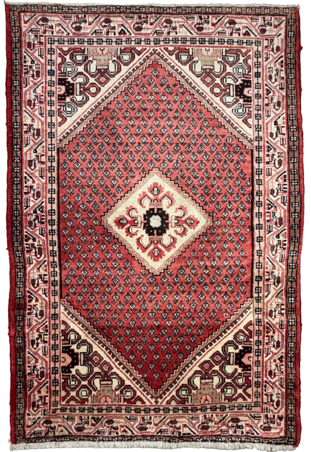 Hand-Knotted Persian Hamadan Rug - 4’5”x6’6”