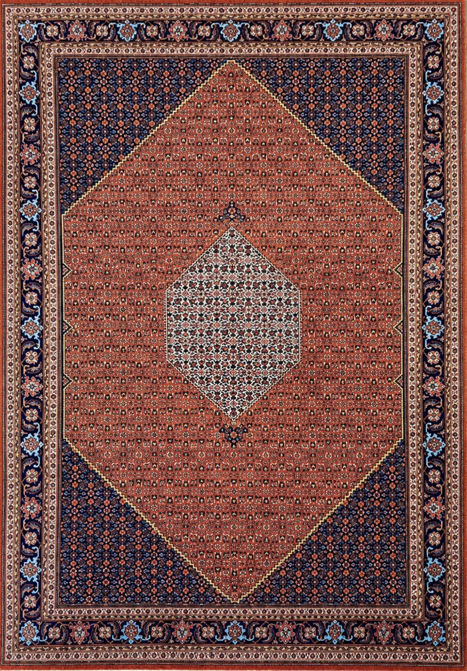 Hand-Knotted IndoBidjar Rug - 8'6"x12'