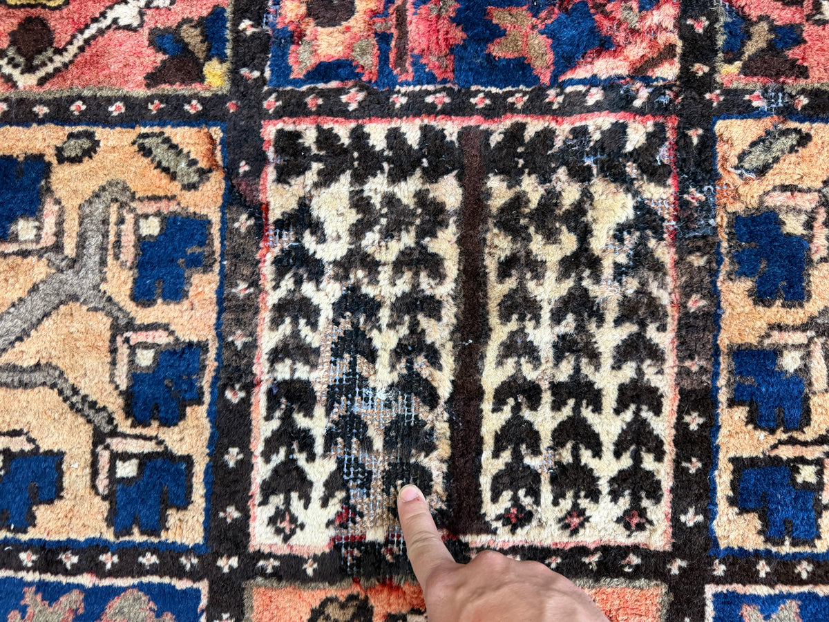 Hand-Knotted Persian Bakhtiari Rug - 8'7"x12'4"