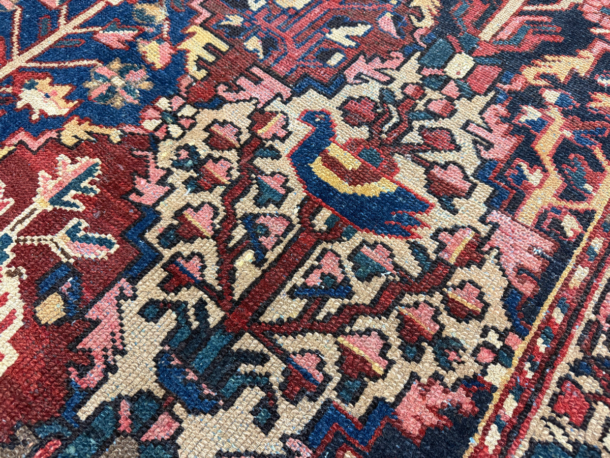 Hand-Knotted Persian Bakhtiari Rug - 10'6"x13'2"