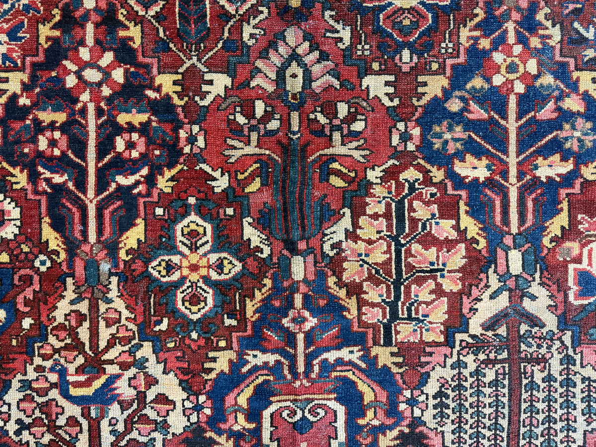 Hand-Knotted Persian Bakhtiari Rug - 10'6"x13'2"