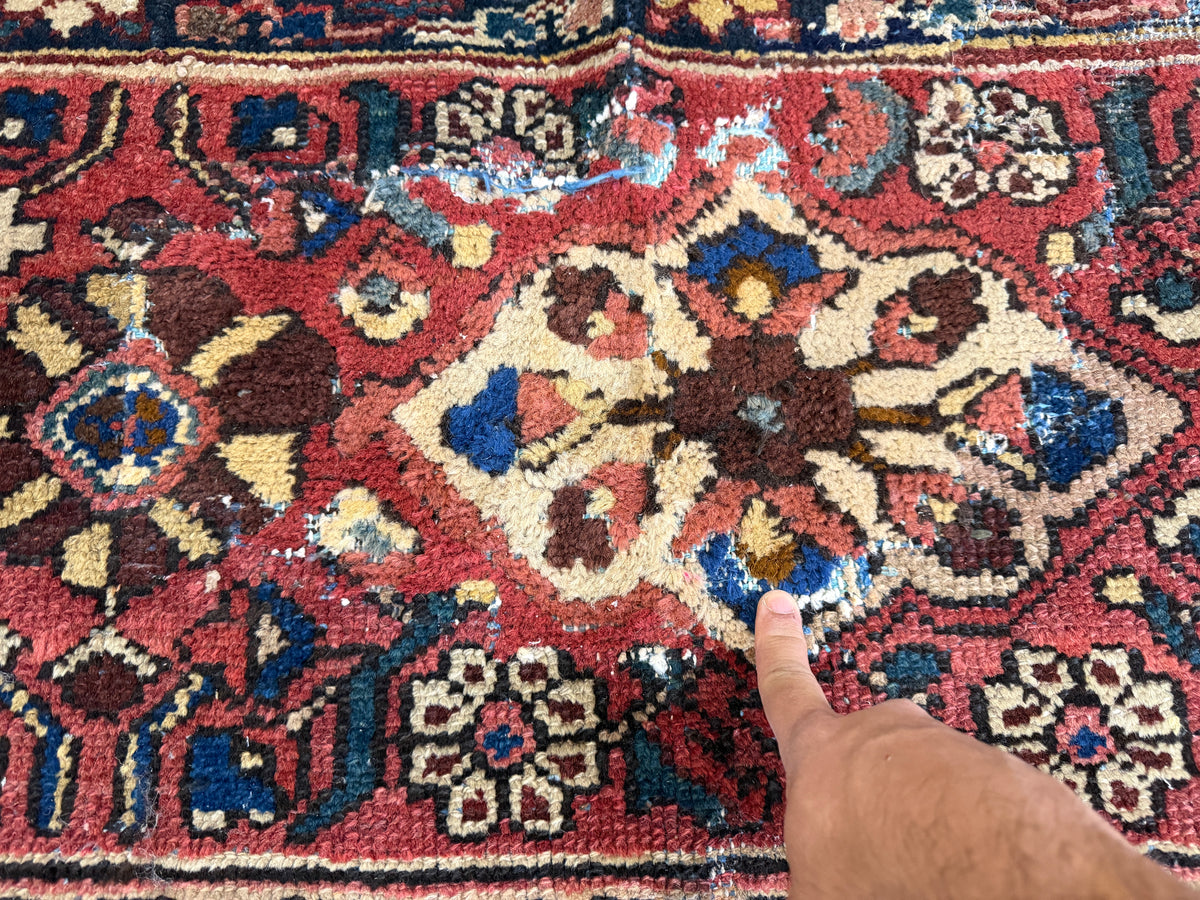 Hand-Knotted Persian Bakhtiari Rug - 10'6"x13'2"