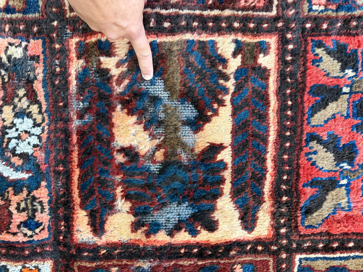 Hand-Knotted Persian Bakhtiari Rug - 9'10"x12'7"