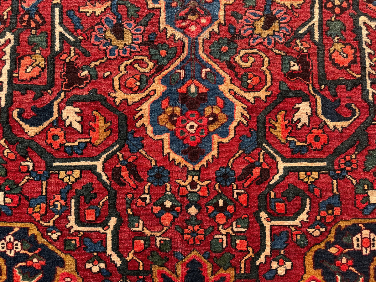 Antique Hand-Knotted Bakhtiari Rug - 10’2”x15’7”