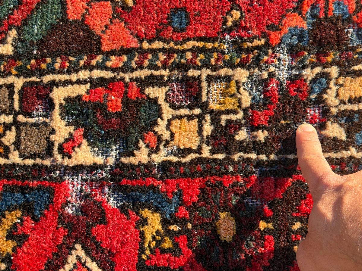 Antique Hand-Knotted Bakhtiari Rug - 10’2”x15’7”