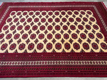 Hand-Knotted Persian Turkaman Rug - 7'x10'