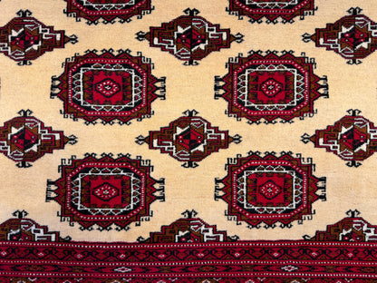 Hand-Knotted Persian Turkaman Rug - 7'x10'