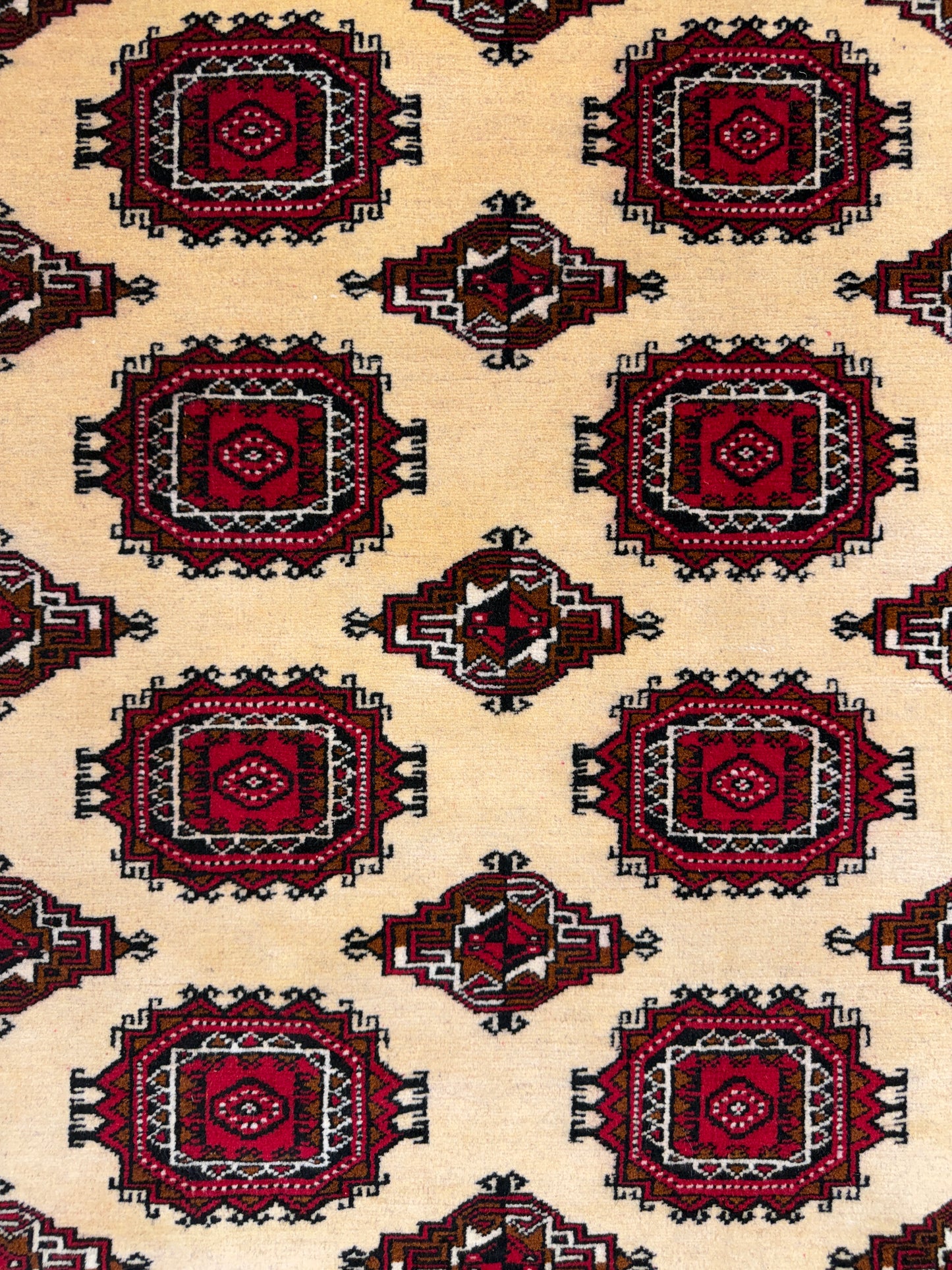 Hand-Knotted Persian Turkaman Rug - 7'x10'