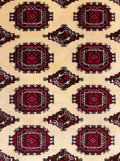 Hand-Knotted Persian Turkaman Rug - 7'x10'